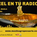 PROGRAMA LA MIEL EN TU RADIO 24-09-22 EN MUNDO AGROPECUARIO