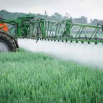 Suministro de herbicida ecológico utilizando nanopartículas biodegradables