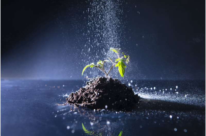 Developing an efficient production technique for a new ‘green’ fertilizer –