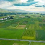 Los cultivos de cobertura mixtos capturan carbono en el suelo y podrían ayudar a mitigar el cambio climático