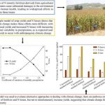 ¿La variación temporal de las precipitaciones provocada por el cambio climático afectará los rendimientos de los cultivos y las pérdidas de nitrógeno reactivo?
