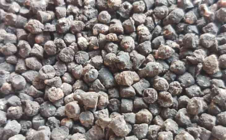 mundoagropecuario.com