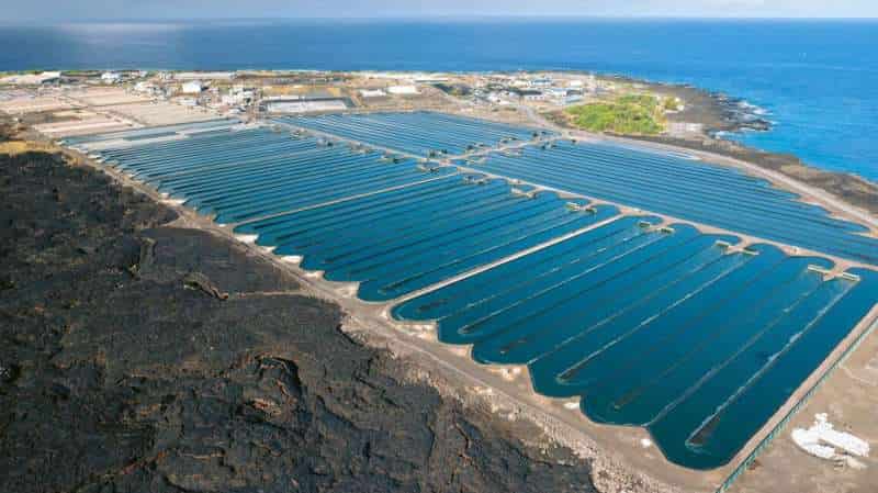 La primera granja de energía solar y de algas marinas en el Mar del Norte, Noticias Ambientales