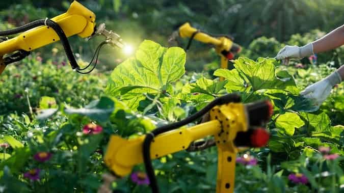 tecnologia agro