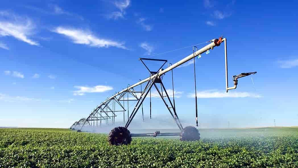 La agricultura y el consumo excesivo de agua: Un problema global